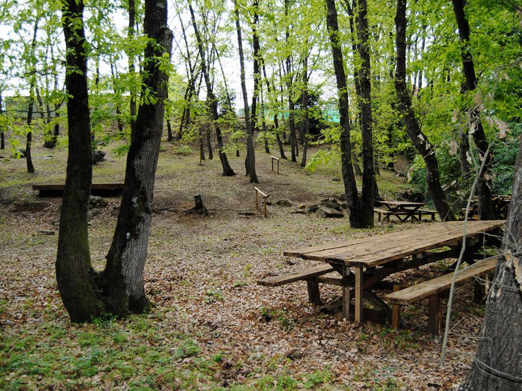Village Sport Holidays Черветері Номер фото